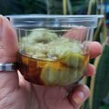 Cooksnap dari Florensia Wenda untuk resep Bubur Sumsum Pandan (tetap lembut walau dingin)