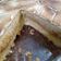 El cooksnap de Maria Beatriz Ferron Balda cuando hizo Torta Especial.
