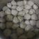 Cooksnap dari ALuna Andrea S Tian untuk resep Bakso jamur tiram
