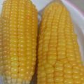 Fary Feroz's cooksnap of when they made Sweet buttered corn on the cob.