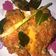 Cooksnap dari Ika Rachmawati Fitria untuk resep Ayam Cabe ijo Ala Dapur Asix
