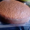 El cooksnap de Daniela Ara cuando hizo Bizcochuelo FÁCIL♥️Ideal Para El Mate (Húmedo).