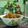 Sukla Sil's cooksnap of when they made চিকেন কষা (chicken kosha recipe in bengali).