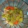 Cooksnap dari Ratna Challysta untuk resep Mashed Potato with Brokoli Ayam Saus Tiram (MENU DIET)