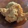 Cooksnap dari sulis tiyani untuk resep Ayam Goreng Tepung (Fried Chicken) Crispy Homemade Simpel Mudah