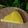 Cooksnap của Emily Luu khi họ làm theo món Key Lime Tart (bánh tart chanh ta)