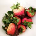 Fallgazer 's cooksnap of when they made Cadbury chocolate  dipped strawberries.
