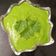 Sonal Doshi's cooksnap of when they made લીલી ચટણી (Green chutney recipe in Gujarati).