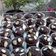 Cooksnap dari Umi Mawadah untuk resep Brownies Panggang Cup