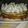 El cooksnap de Florencia cuando hizo Torta Rogel con Merengue Italiano.