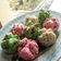 Cooksnap dari Lestiya Tiya untuk resep Bolu Kukus Mekar Meses Rainbow No Mixer 1 Telur
