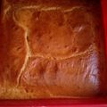 El cooksnap de Barbymeco cuando hizo Bizcochón de limón para diabéticos.