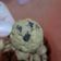 Cooksnap dari Yanti Yuliana Alif untuk resep Chewy Chocochips Cookies