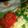 summerplace's cooksnap of when they made Salsa and ham Spanish omlette.