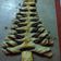 El cooksnap de Sid Maldonado cuando hizo Árbol de navidad.