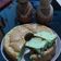 Cooksnap dari herna sari untuk resep Keto Chiffon Cake