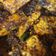 Cooksnap dari Akbar Family untuk resep Gepuk tempe / tempe serundeng
