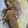 El cooksnap de Mar Correa cuando hizo Rosca de Reyes o pascua.