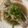 Cooksnap dari Lucy Liliyani untuk resep Tim Ikan Kerapu (Basic Steamed Grouper)