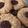 El cooksnap de Jenn Vallari cuando hizo Galletas de avena y chips de chocolate.