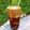 Cooksnap από 𝒳𝓇𝓊𝓈𝑜𝓊𝓁𝒶 𝒦𝑜𝓃𝓉𝑜𝓅𝑜𝓊𝓁𝑜𝓊 στη συνταγή Espressino Freddo
