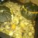 El cooksnap de Laura Sarmiento cuando hizo Zapallo Relleno.