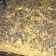 El cooksnap de Camila Bahamondes González cuando hizo Queque de plátano con avena.