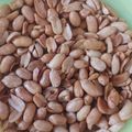 Cooksnap dari uwie prihartini untuk resep Kacang Bawang Empuk