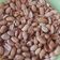 Cooksnap dari uwie prihartini untuk resep Kacang Bawang Empuk