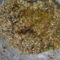 Cooksnap dari Ummu Sulaiman untuk resep Lado Mudo / Sambal Ijo khas Padang