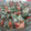 El cooksnap de Mary cuando hizo Ratatouille.