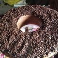 Cooksnap dari Mega Eva Lina untuk resep Brownies panggang