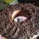 Cooksnap dari Mega Eva Lina untuk resep Brownies panggang