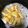 Elaine Wu 的 氣炸年糕 cooksnap