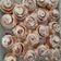 Szabina Rujz Cooksnap-ja, amikor elkészítette a(z) Cinnamon roll -amerikai fahéjas csiga receptet.