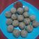 Cooksnap dari umi Shabrina untuk resep Tahu Bulat Krispy
