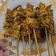 Cooksnap dari Anita Laiyinah untuk resep Sate Usus Bakar