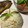 Cooksnap dari Vivi Lutfiyah untuk resep Nasi Liwet Kampung