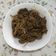 Cooksnap dari Candy untuk resep Beef yakiniku ala yoshinoya