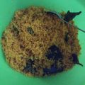 Cooksnap dari farhati untuk resep Nasi Ulam bumbu saur