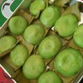 Cooksnap dari Widat Alya N To untuk resep Kue Ku Pandan