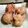 davisn80's cooksnap of when they made VIDELIA SWEET VIDELIA Onion Patties(ez onion rings).