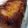 El cooksnap de Agus_tina cuando hizo Torta invertida de manzana.