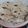 El cooksnap de Silvana cuando hizo Tacos con masa integral.