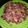 Cooksnap dari widya untuk resep Se'i daging sapi sambal matah