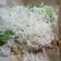 Cooksnap dari Dewa Astrinata untuk resep Putu Bambu