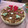 El cooksnap de Ana_Aq cuando hizo Tarta fría de Donuts.