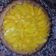 El cooksnap de Celeste Ledesma cuando hizo Tarta de durazno con dulce de leche!!.