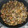 El cooksnap de Isaac jorge canfalionieri cuando hizo Hígado encebollado.