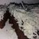 Cooksnap dari Helmy Ny Ar untuk resep Brownies Chocolatos Kukus Praktis